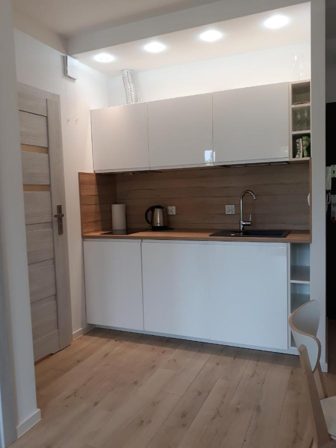 Apartament Szary Wilk Świeradów-Zdrój Exteriér fotografie
